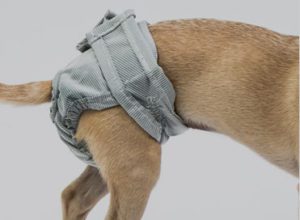 reusable diapers male wraps