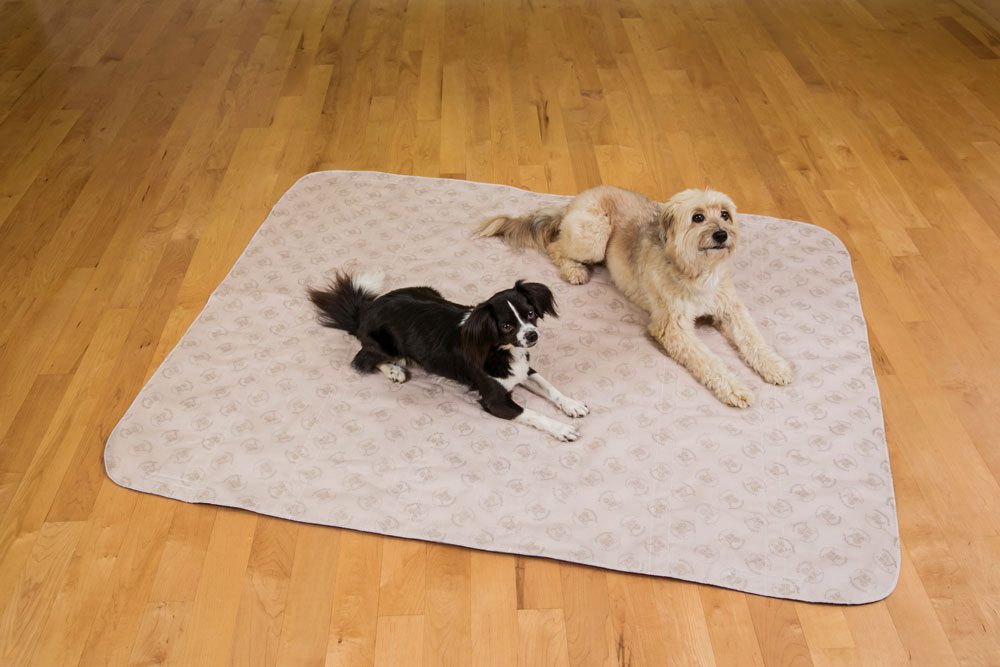 SUV PoochPad® 48" x 60" - Image 4