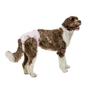 X-Large PoochPants™ Diaper
