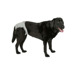 Large PoochPants™ Diaper