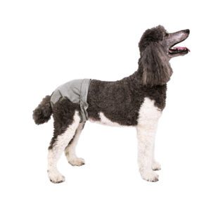 XX-Large PoochPants™ Diaper