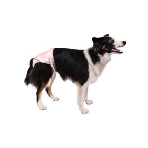 Medium PoochPants™ Diaper