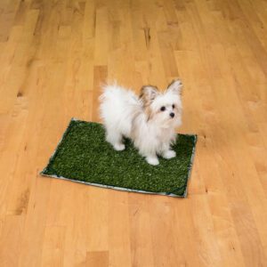 Indoor Turf Dog Potty KIT™ Connectable 16" x 24" Pad & Turf