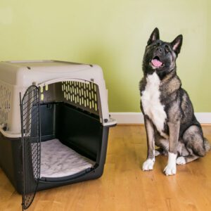 Giant Hard Shell Carrier Kennel Pad 24" x 39"