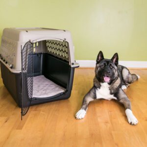 X-Large Hard Shell Carrier Kennel Pad 21" x 34"