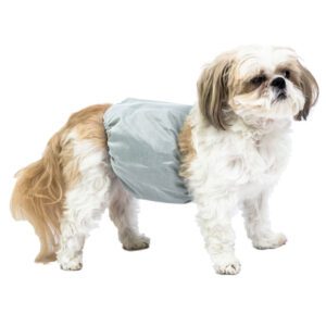 Medium PoochPants™ Male Wrap 15" to 22"