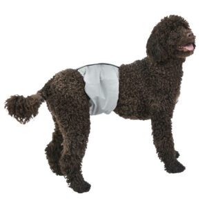 Large PoochPants™ Male Wrap 22" to 28"