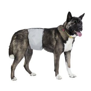 X-Large PoochPants™ Male Wrap 28" to 35"