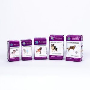 Disposable Diapers 12-Pack