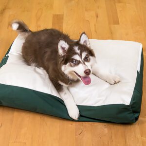 Dog Beds