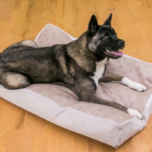 Large Dog Bed 42" X 30"