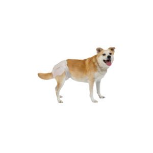PoochPants™ Improved Sustainability Bamboo Disposable Diaper - Large - 12-Pack