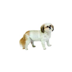 PoochPants™ Disposable Male Wraps - Medium - 12 Pack