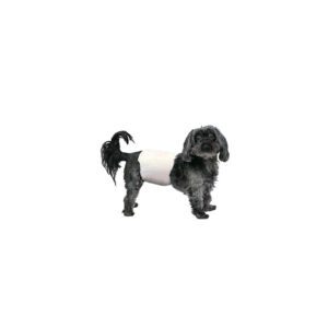 PoochPants™ Disposable Male Wraps - Small - 12 Pack