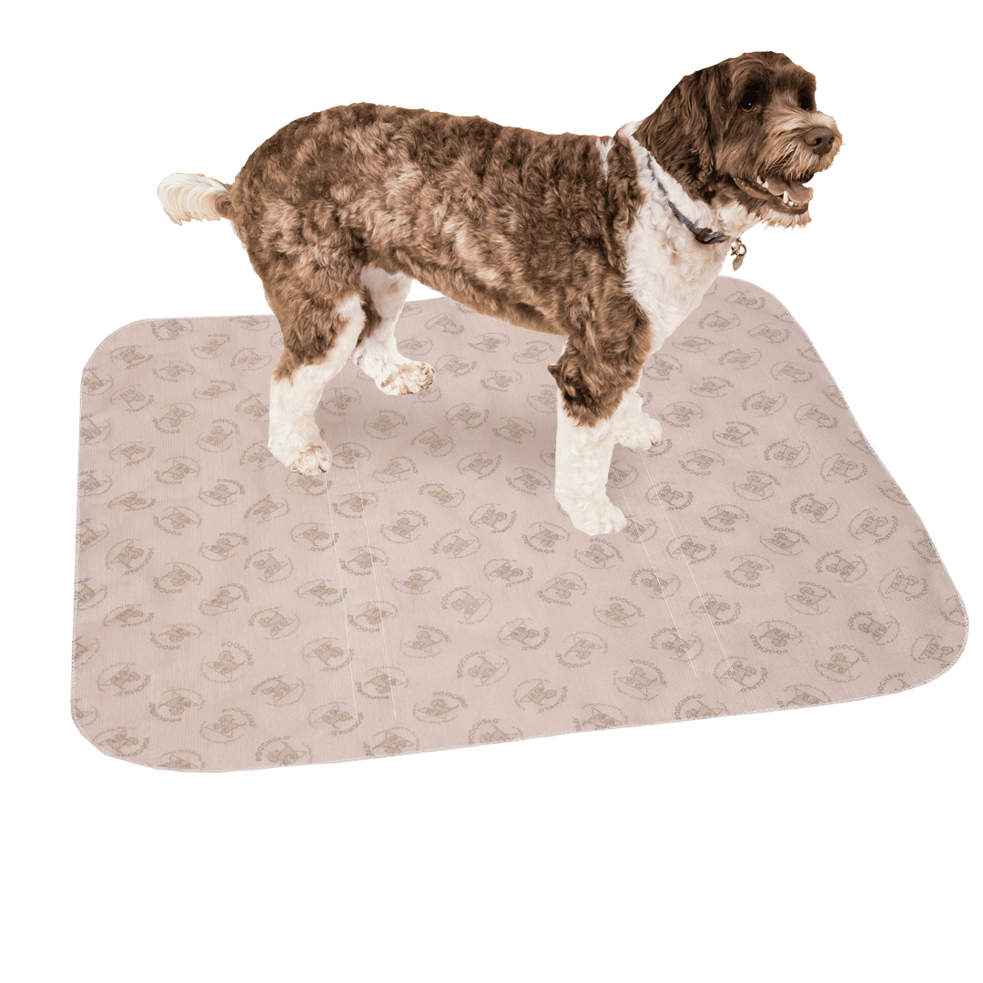 Large PoochPad® 30" x 32" - Image 5