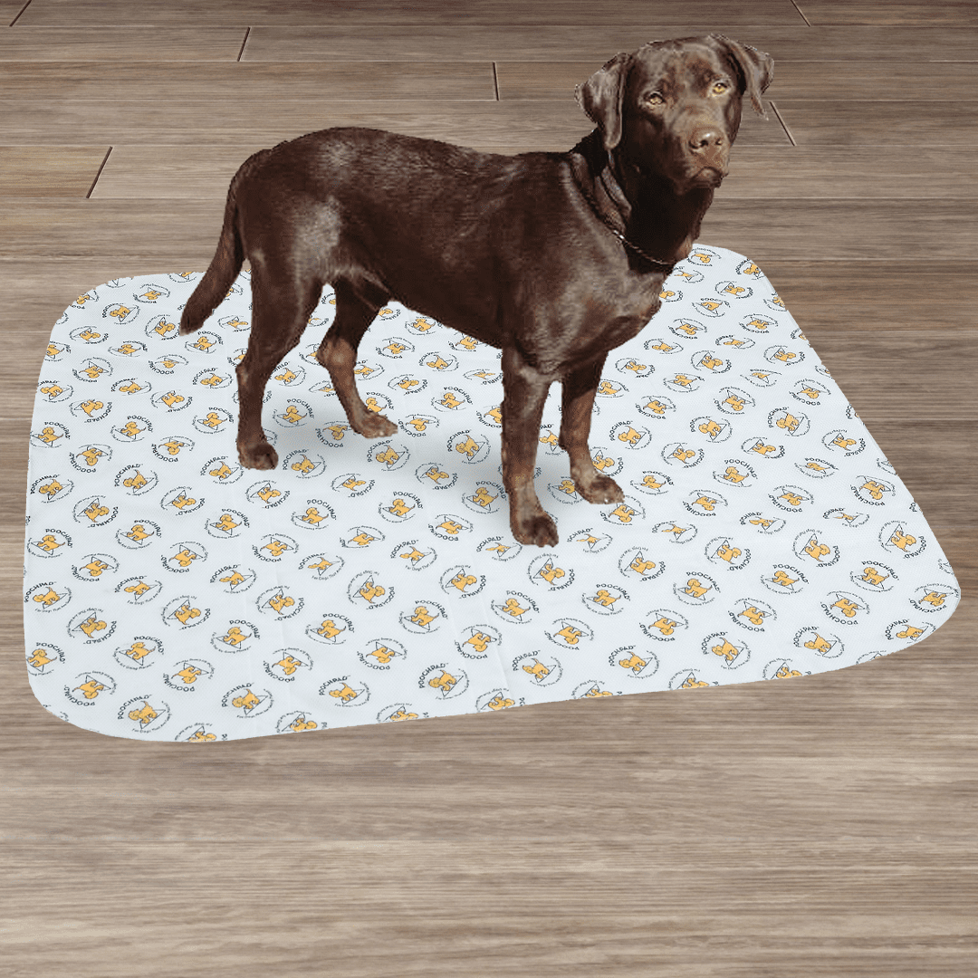 Shop Products by Category