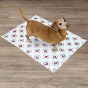 PoochPad® Extra Absorbent Large 30" x 32" 2-Pack