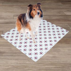 PoochPad® Extra Absorbent Large 30" x 32" 2-Pack